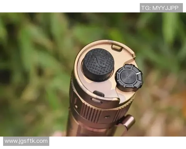 刘伟独家分享DOTA2游戏心得与技巧助你提升实力与战术水平