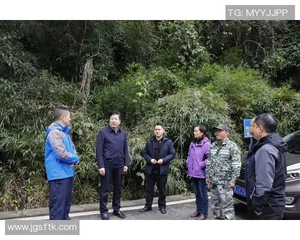 南京攀岩队区域防守分析与战术调整的深度探讨 南京攀岩队区域防守分析与战术调整的深度探讨